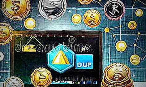 The Null Ledger: When an On-Chain Investigation Returns Nothing