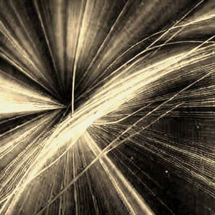 The Empty Audit: When Analysis Frameworks Produce Nothing but Silence