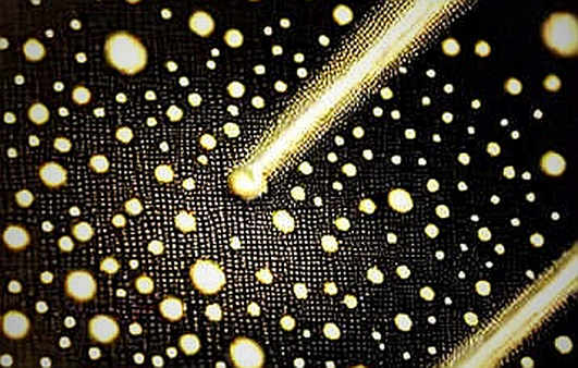 Silicon Whispers Beneath the Trillion-Dollar Surface: AMD, Meta Muse, and the Unaudited AI Capital Ledger Silicon Whispers Beneath the Trillion-Dollar Surface: AMD, Meta Muse, and the Unaudited AI Capital Ledger