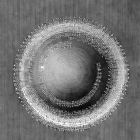 Nine Dimensions of N/A: Anatomy of a Crypto Report That Refused to Lie