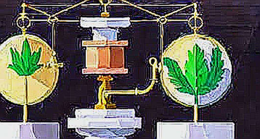 The 975,000 Bitcoin Wall: What URPD Reveals About the Next Move