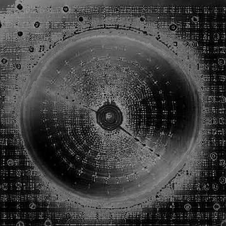 Shibarium's Silent Infrastructure Shift: The Unspoken Signal in a Meme Chain's Recovery