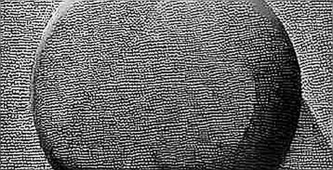 The Smoke Signal: Grayscale’s Altcoin ETF Withdrawal Is Not What You Think