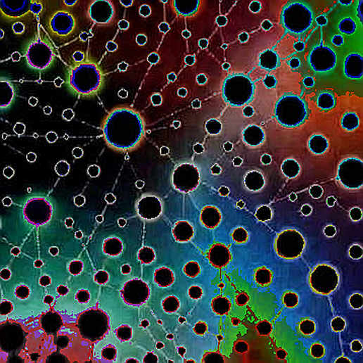 Sality's Eight-Year Heist: The Botnet That Made a Mockery of Crypto Security