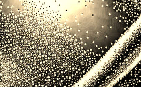 Hyperliquid’s 70% Market Share: Infrastructure or Trap? Hyperliquid’s 70% Market Share: Infrastructure or Trap?