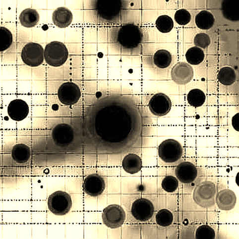 The Two-Block Flinch: Why Bitcoin's Anti-Spam Fork Died Before It Could Live The Two-Block Flinch: Why Bitcoin's Anti-Spam Fork Died Before It Could Live
