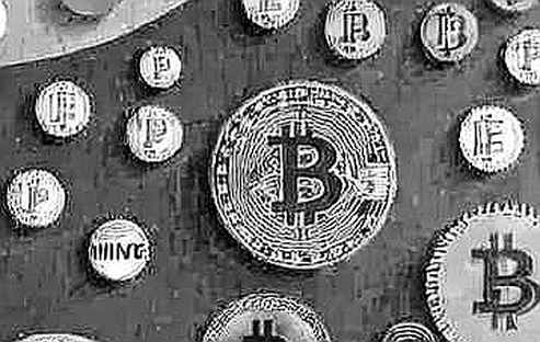 Users Are the Best Investors — Until Someone Needs to Be Liable Users Are the Best Investors — Until Someone Needs to Be Liable