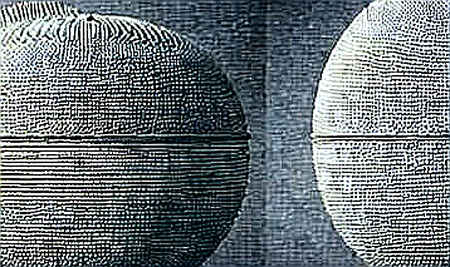 The Blank File: Why Missing Data Is the Loudest Signal in Crypto Analysis The Blank File: Why Missing Data Is the Loudest Signal in Crypto Analysis