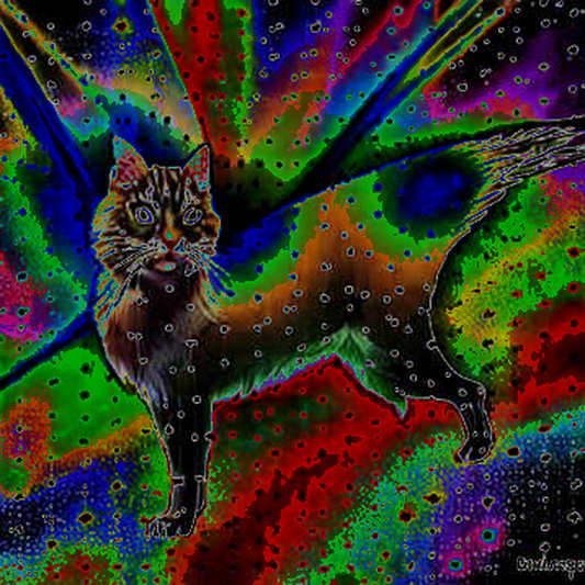 Hormuz, Hyperscale, and the Quiet Failure of Permissioned Money