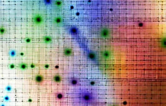 Kaito Pulse: The Illusion of Open-Source as a Security Panacea