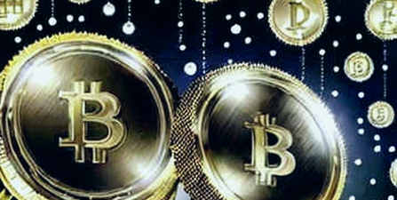 ADA's 6% Plunge: Dissecting the Divergence Between Price Action and On-Chain Reality ADA's 6% Plunge: Dissecting the Divergence Between Price Action and On-Chain Reality